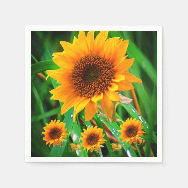 Pappra blöjor pappersservett (Framsidan)