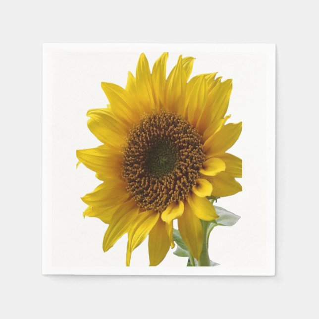 Pappra blöjor pappersservett (Framsidan)