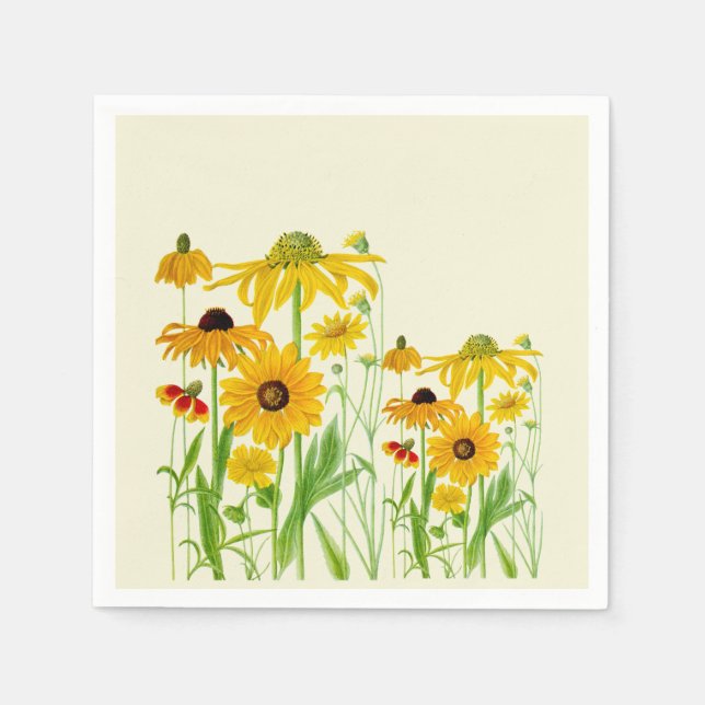 Pappra blöjor pappersservett (Framsidan)