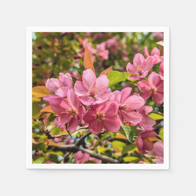 Pappra blöjor pappersservett (Framsidan)