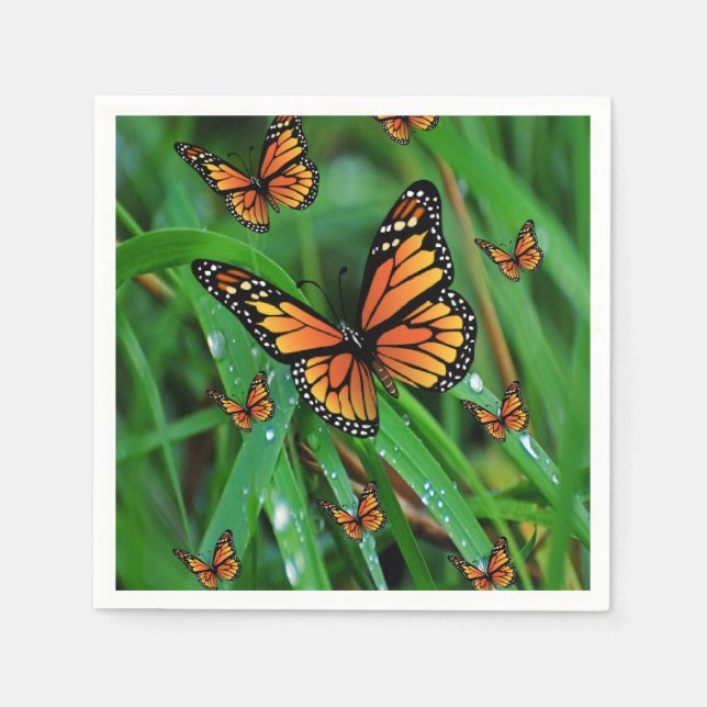 Pappra blöjor pappersservett (Framsidan)