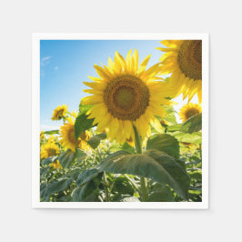 Pappra blöjor pappersservett