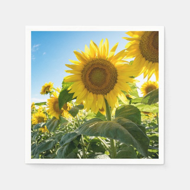 Pappra blöjor pappersservett (Framsidan)