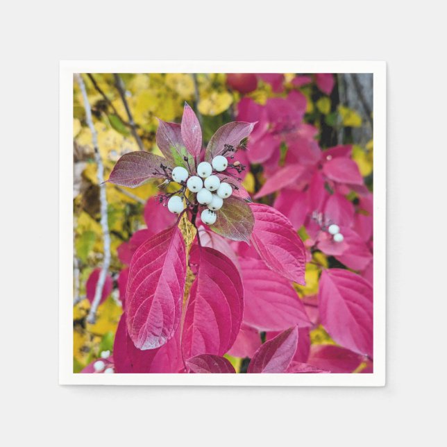 Pappra blöjor pappersservett (Framsidan)