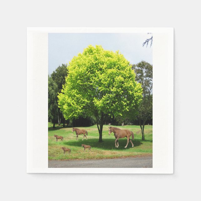 Pappra blöjor pappersservett (Framsidan)