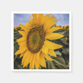 Pappra blöjor pappersservett