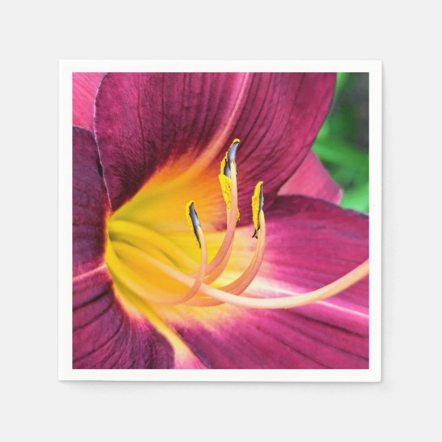 Pappra blöjor pappersservett (Framsidan)