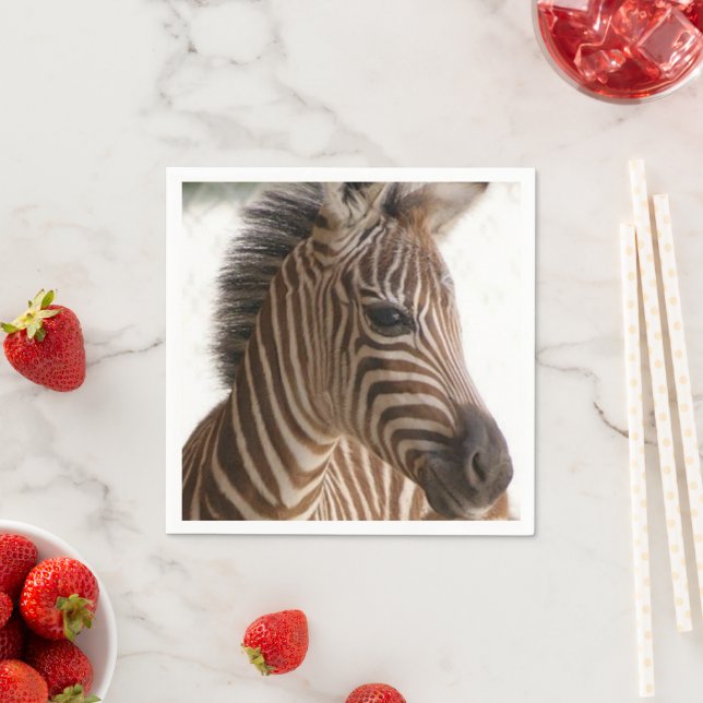 Pappra blöjor, Zebra Pappersservett (Insitu)