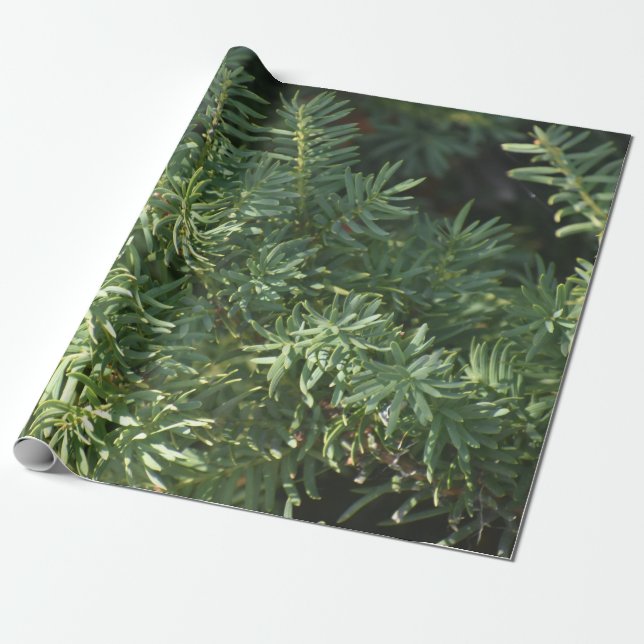 Pappra gräs Forest Wrapping Presentpapper (Utrullad)