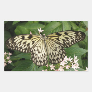 Pappra Kite Butterfly Stickers Rektangulärt Klistermärke