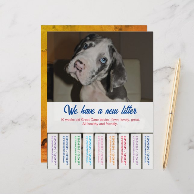 Pappra Lakan (Fram/Back In Situ)