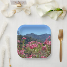 Pappra Tallrikar och Bowls Mt Tamalpais Rosa Flowe
