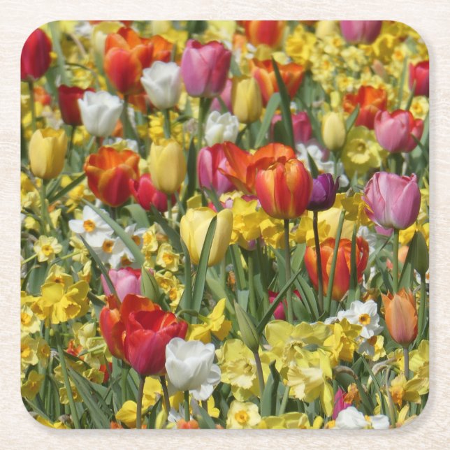 Pappra Underlägg av färgämnen i tulips och dilloll Papper Kvadrat (Framsidan)