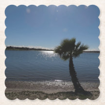 Pappra Underlägg i San Diego Handflatan Träd