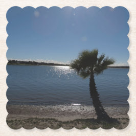 Pappra Underlägg i San Diego Handflatan Träd