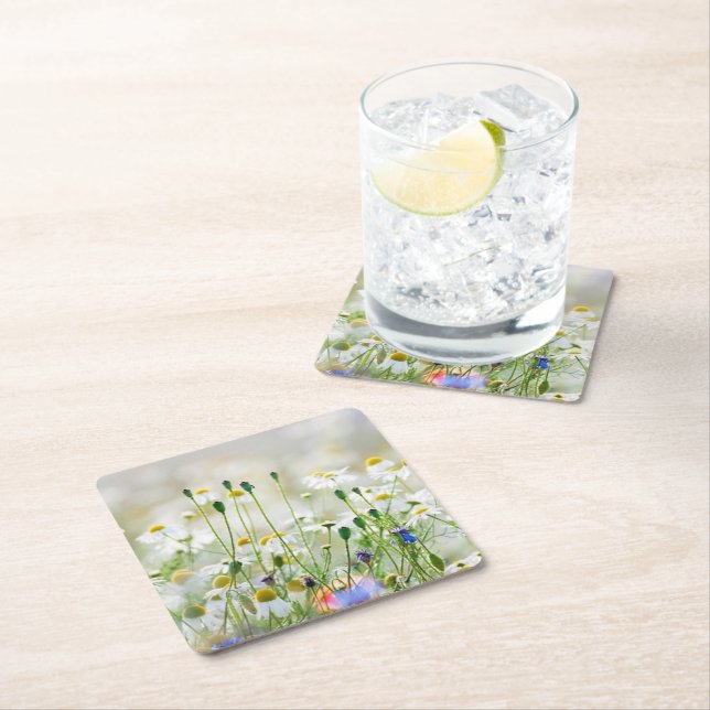 Pappra Underlägg - Kornblommor och Daisy Papper Kvadrat (Insitu)