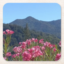 Pappra Underlägg Mt Tamalpais med Rosa Flowers