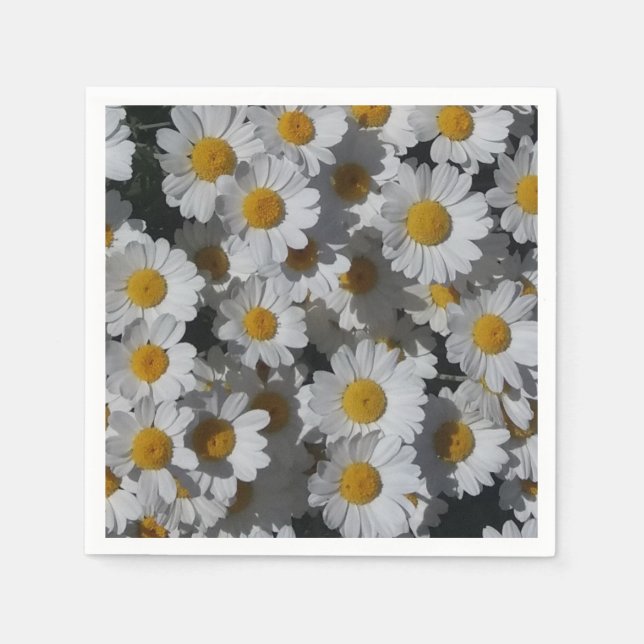 Pappra vita Daisy Pappersservett (Framsidan)