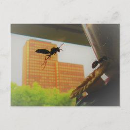 Pappra Wasp- och Black Carpenter Ant Helg Vykort