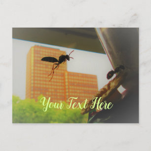 Pappra Wasp- och Black Carpenter Ant Vykort