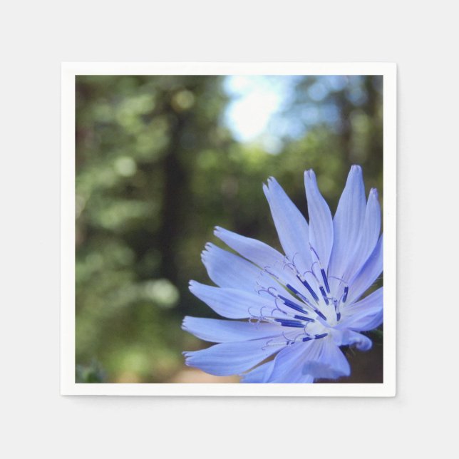 Papprare bläckfisk pappersservett (Framsidan)