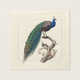Papprare blöjor för peacock-Eleganten Pappersservett