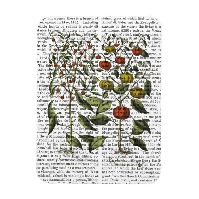 Paprika 4 magnet (Vertikal)