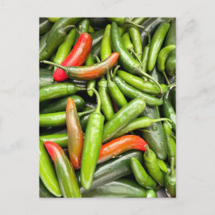 Paprika av Grönt Vykort