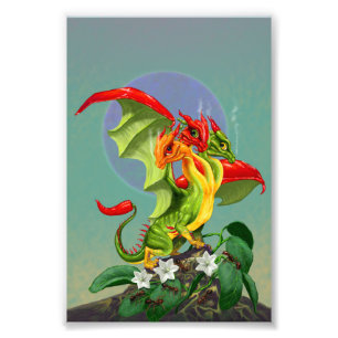 Paprika Dragon 4x6 Skriv ut Fototryck