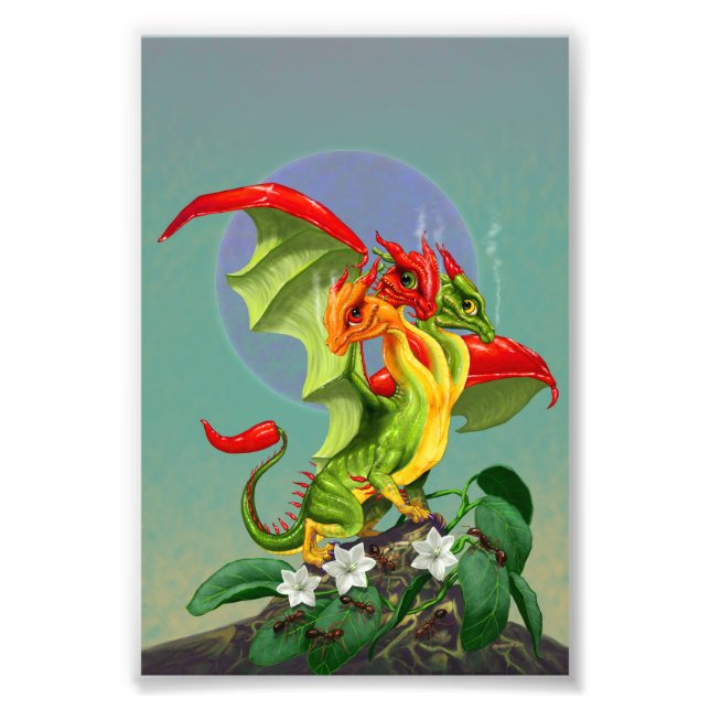 Paprika Dragon 4x6 Skriv ut Fototryck (Framsidan)