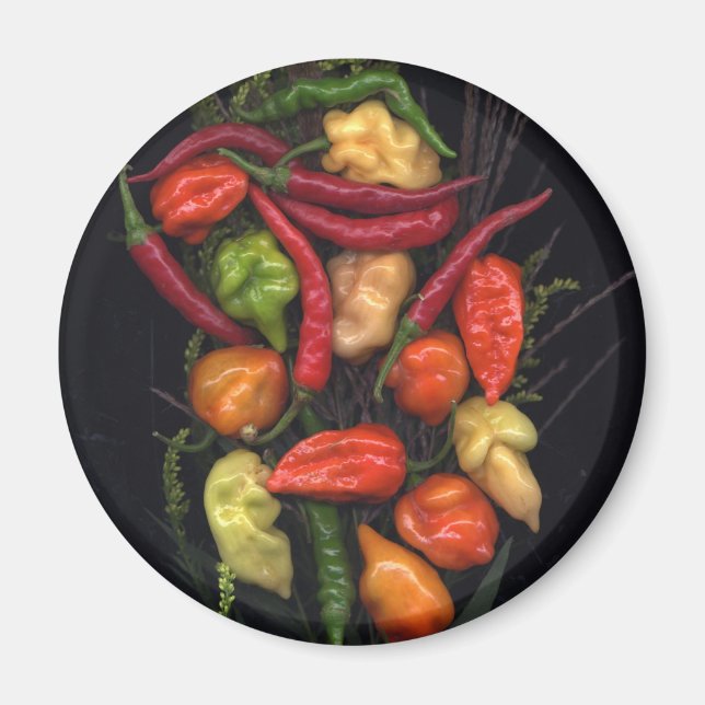 Paprika Magnet (Framsidan)