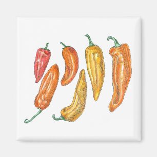Paprika Magnet