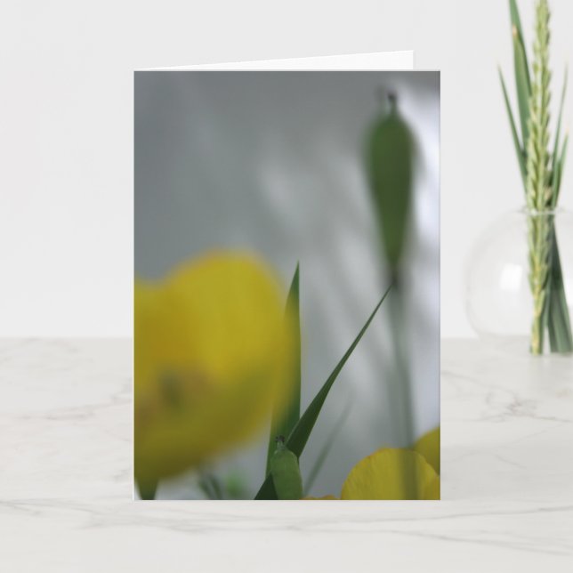 Paprika och skugga 4 Florfotografi Hälsning C Kort (Framsida)