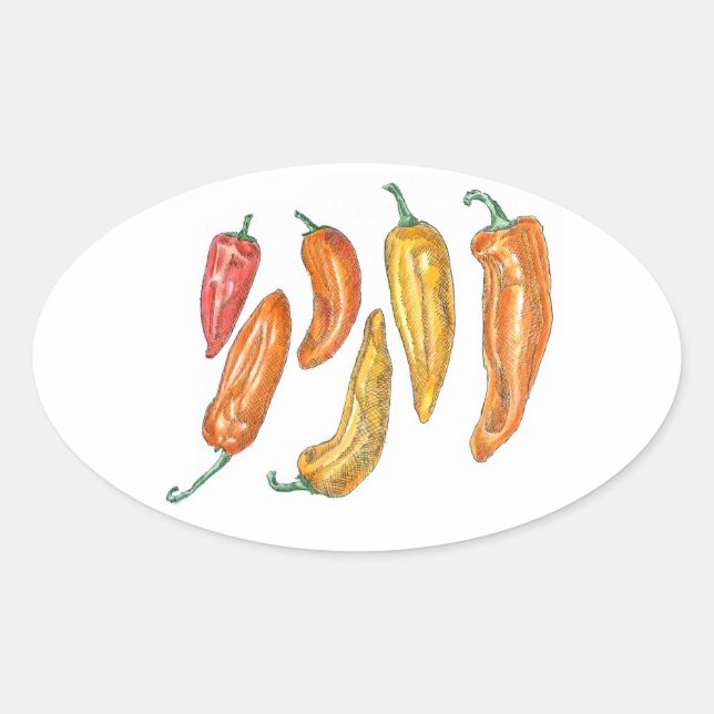 Paprika Ovalt Klistermärke (Framsida)