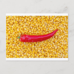 Paprika på maj vykort