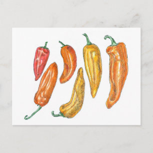 Paprika Vykort