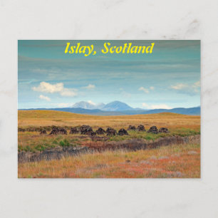 Paps of Jura from Islay, Scotland Postcard Vykort