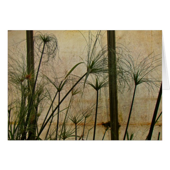 Papyrus Hälsningskort (Framsidan Horizontal)