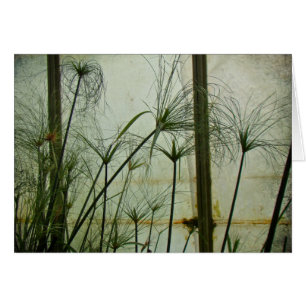 Papyrus Hälsningskort