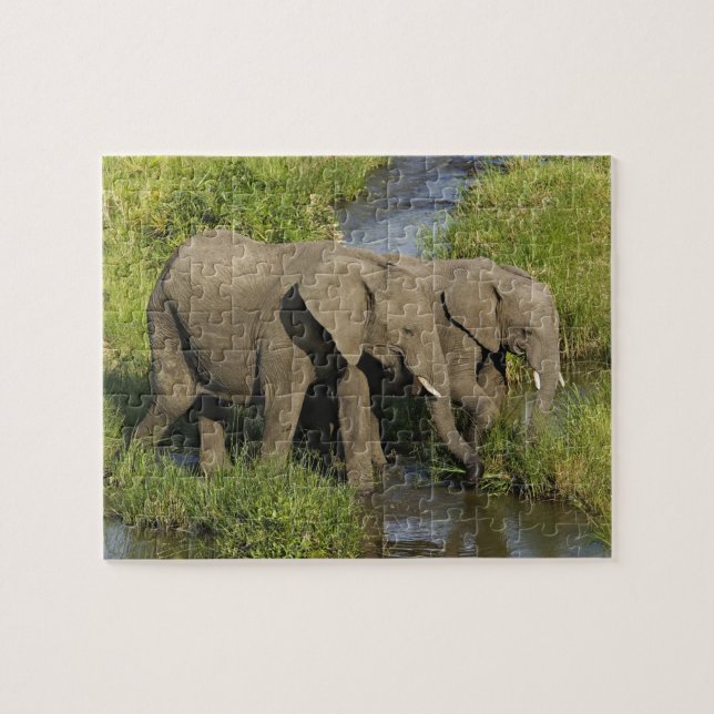 Par afrikanska elefanter Masai Mara Pussel (Horisontell)