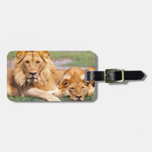Par afrikanska lejon, Panthera leo, Tanzania Bagagebricka
