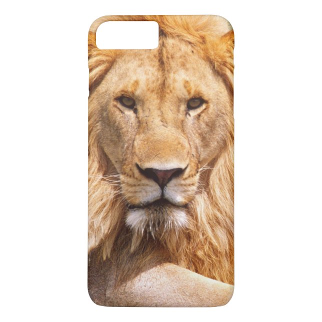 Par afrikanska lejon, Panthera leo, Tanzania Case-Mate iPhone Skal (Baksida)