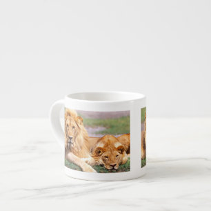 Par afrikanska lejon, Panthera leo, Tanzania Espressomugg