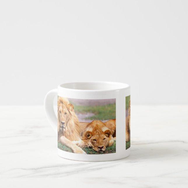 Par afrikanska lejon, Panthera leo, Tanzania Espressomugg (Framsida vänster)
