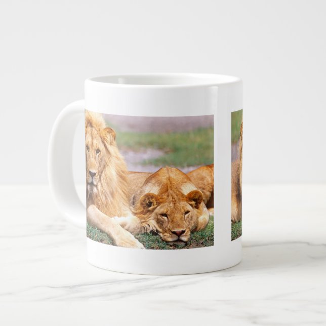 Par afrikanska lejon, Panthera leo, Tanzania Jumbo Mugg (Framsida vänster)