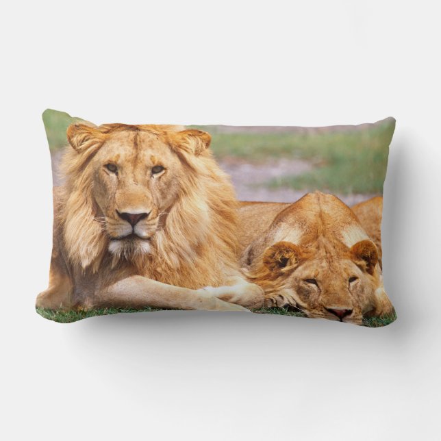 Par afrikanska lejon, Panthera leo, Tanzania Lumbarkudde (Framsida)