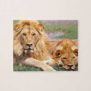 Par afrikanska lejon, Panthera leo, Tanzania Pussel