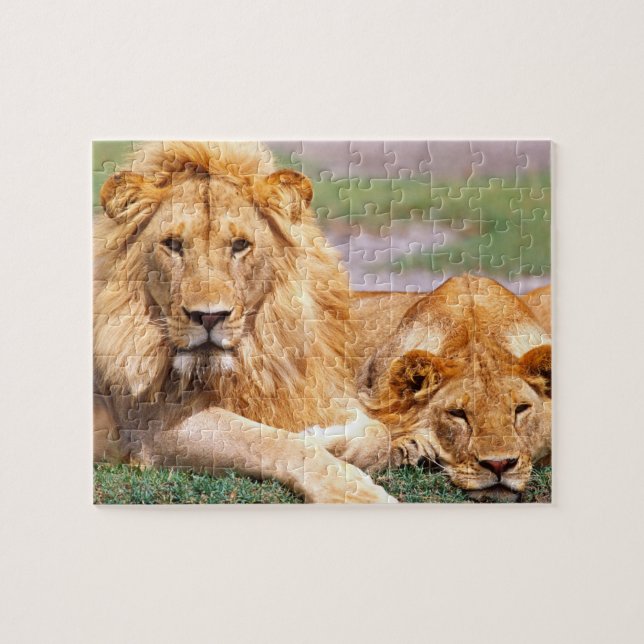 Par afrikanska lejon, Panthera leo, Tanzania Pussel (Horisontell)