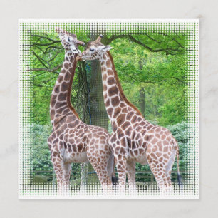 Par av Giraffes-inbjudan Inbjudningar