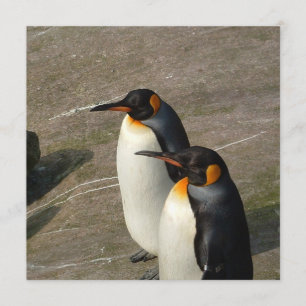 Par av Penguins inbjudan